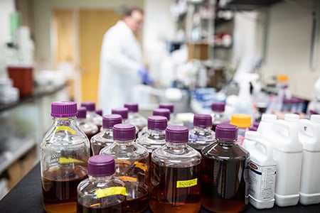 Vestaron research laboratory in Research Triangle Park, North Carolina