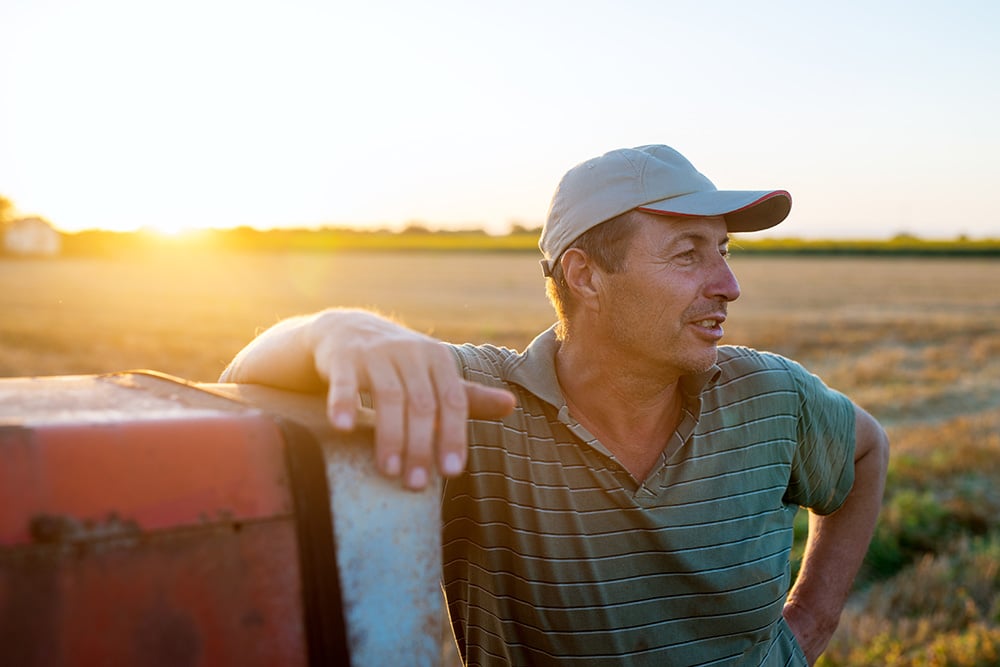 agronomist surveys fields agronomist surveys fields