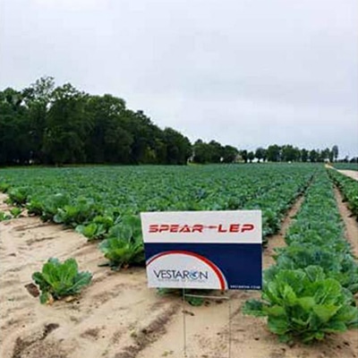 EPA Award Vestaron Spear-Lep
